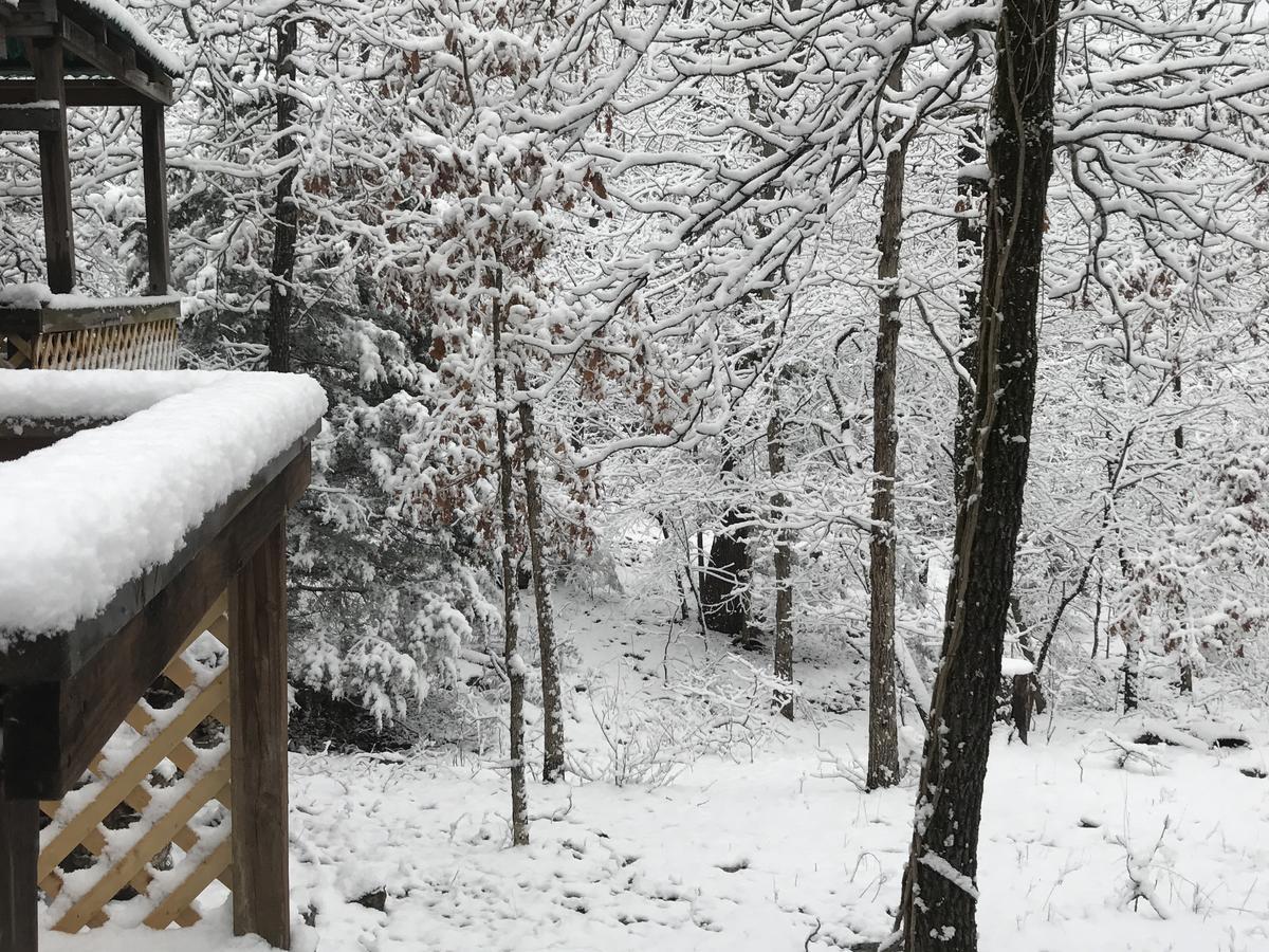 Norfork Lake Ozark Mountain Lodge Gamaliel Esterno foto